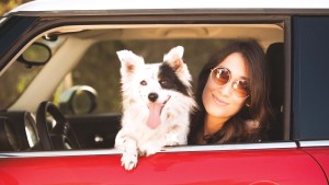 Captura tus datos, compara seguros de carros y emite tu póliza - traigoseguro.com