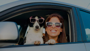 Captura tus datos, compara seguros de carros y emite tu póliza - traigoseguro.com