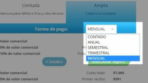 Selección de período de pagos - mensual,semestral o anual - traigoseguro.com